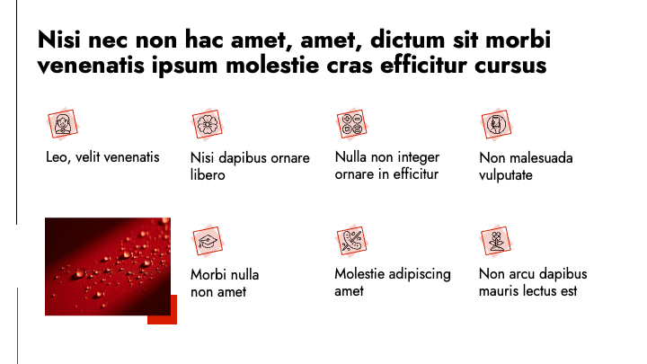 Scandic Red Bold slide 8